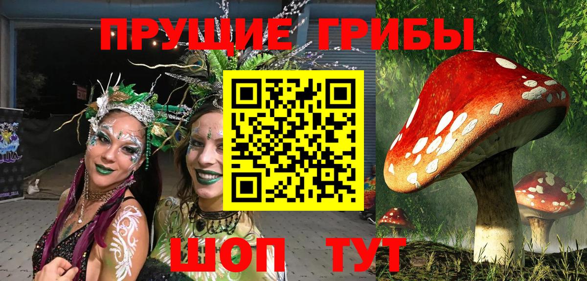 Абакан  Псилоцибиновые грибы мицелий  Вход с VPN  как найти   Псилоцибиновые грибы мицелий 